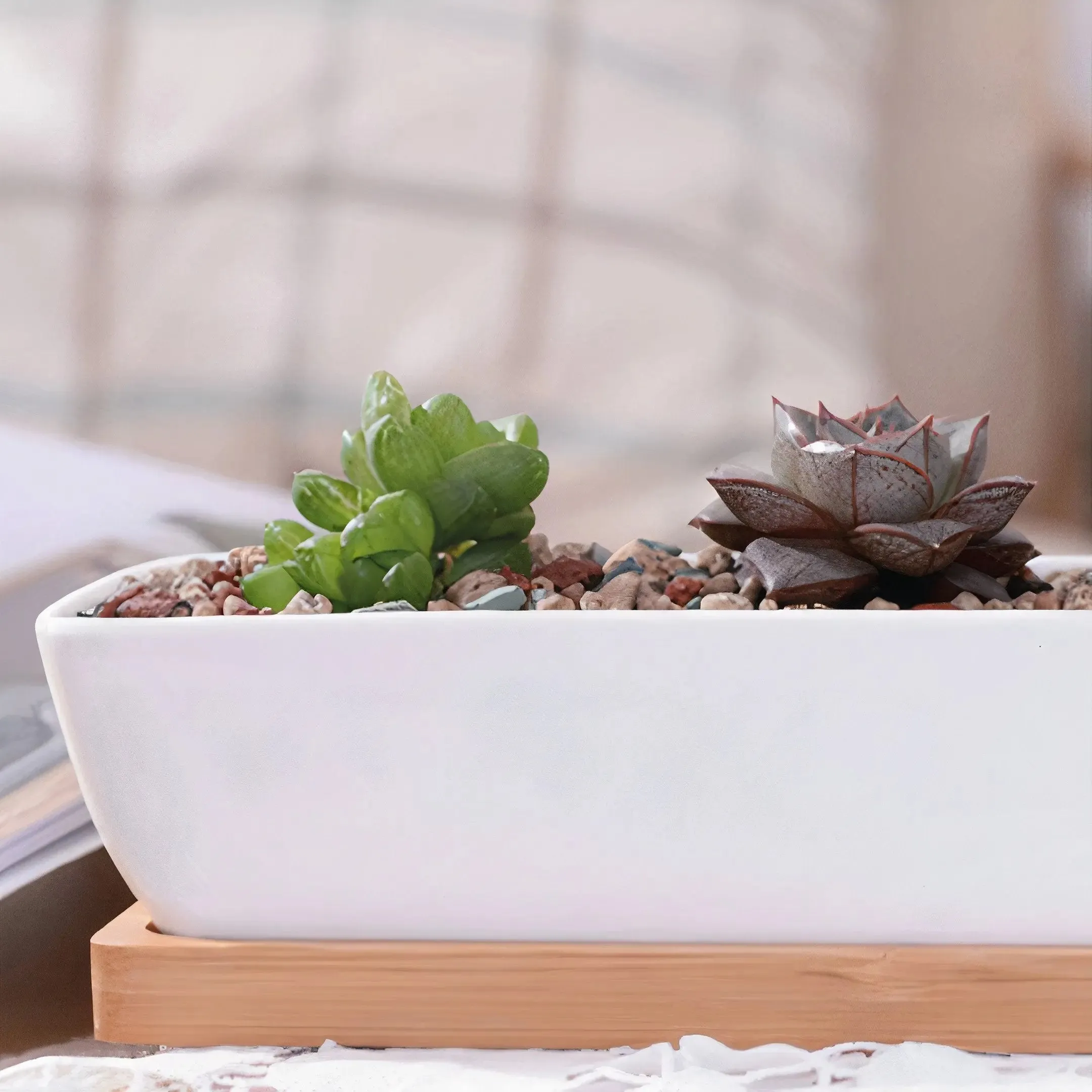 11" Modern Rectangular Ceramic Succulent Planter with Bamboo