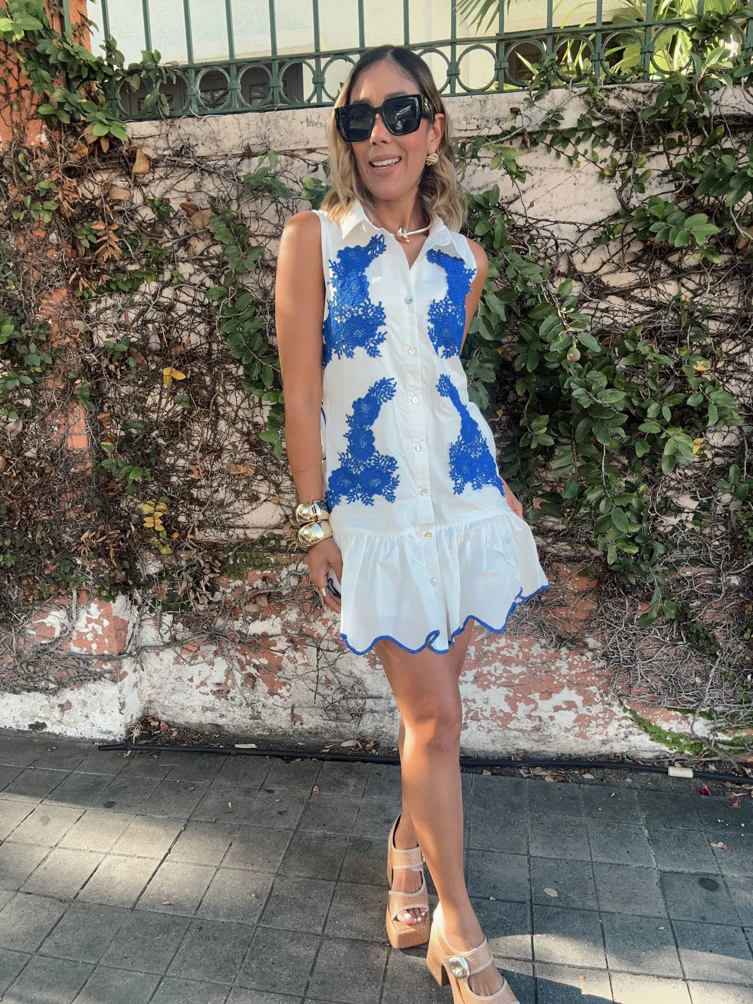 Brooklyn Embroidered Button Down Mini Dress