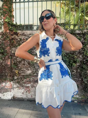 Brooklyn Embroidered Button Down Mini Dress
