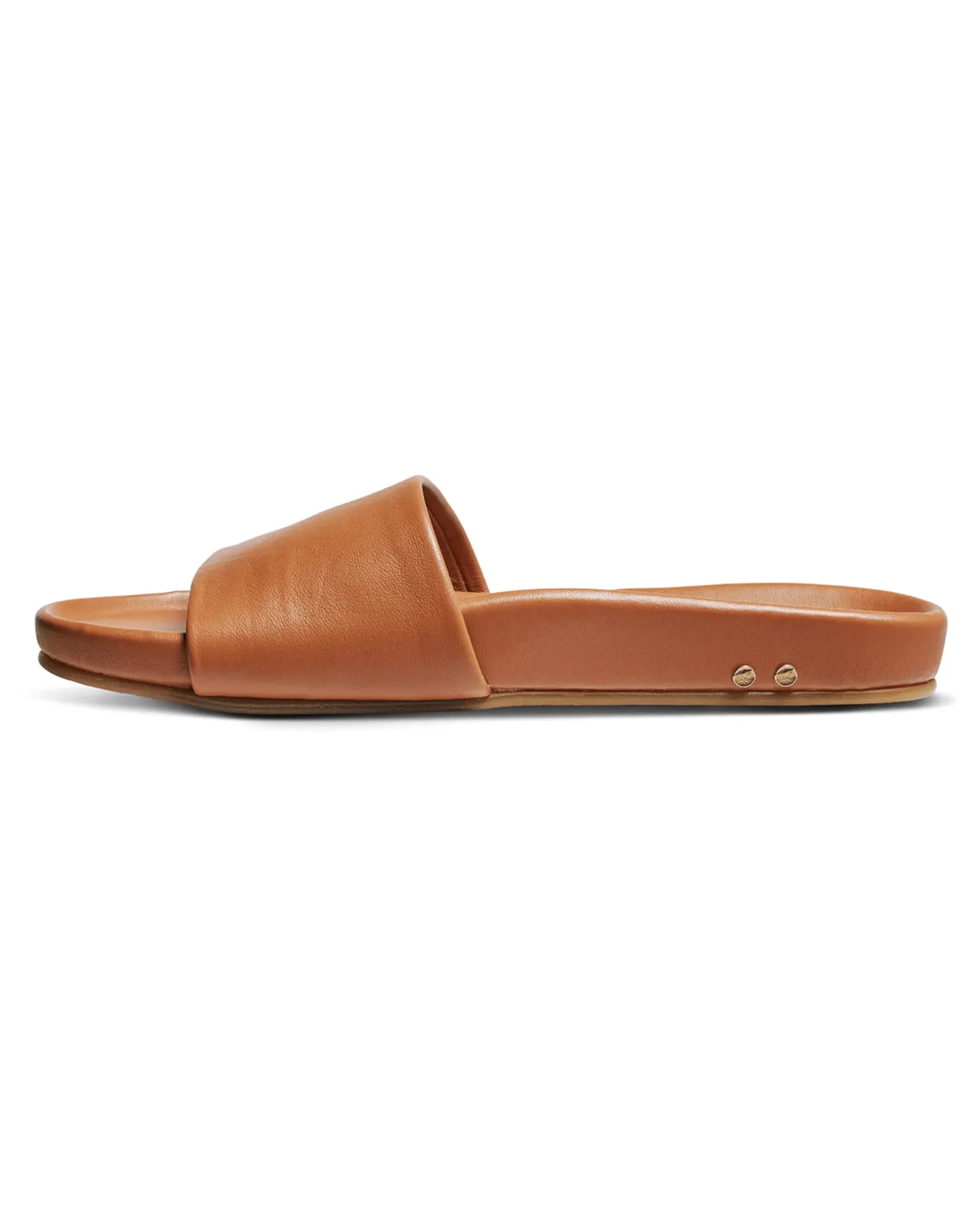 Gallito in Tan