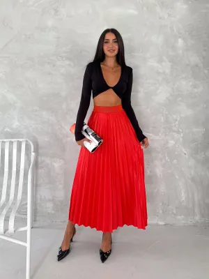Long Pleated Skirt