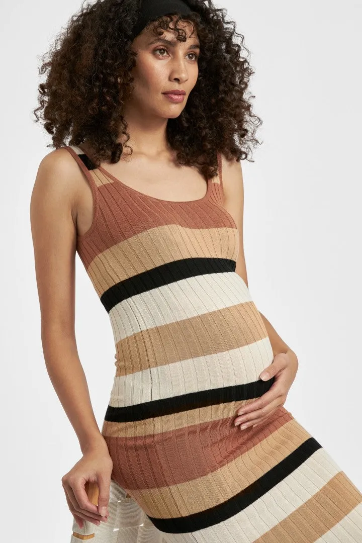 Sarah Stripe Knit Dress